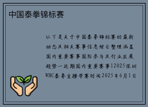 中国泰拳锦标赛